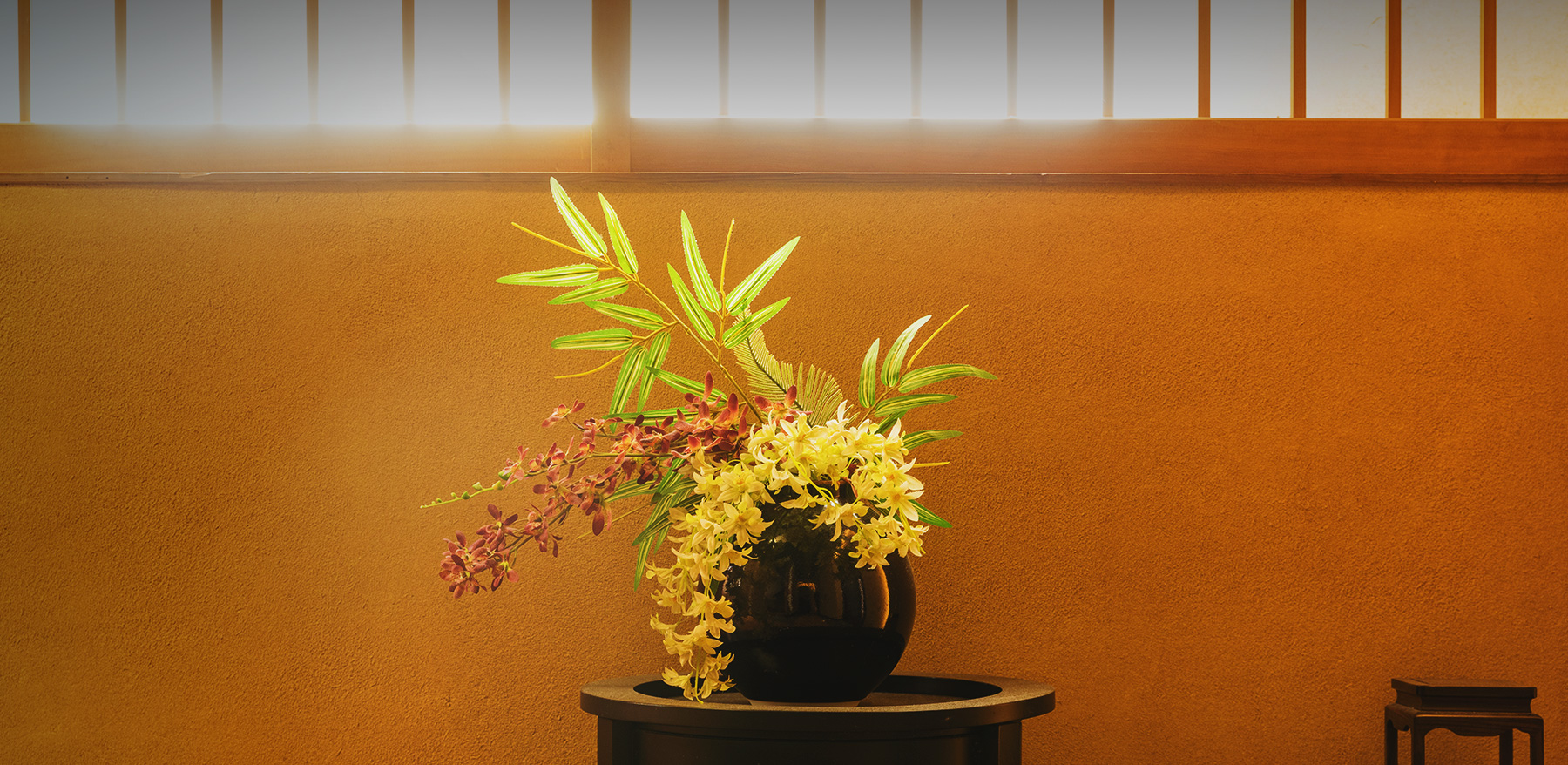 イメージ:遊心亭